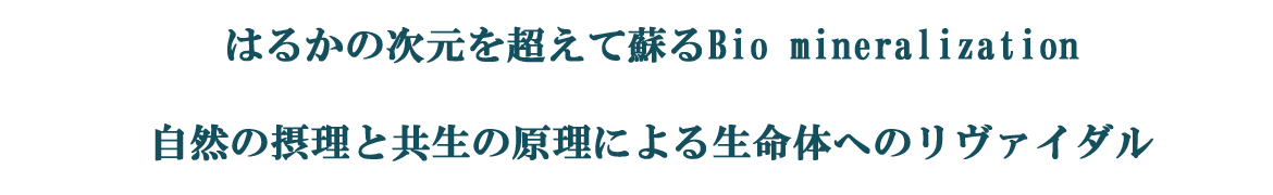 はるかの次元を超えて蘇るBio ｍineralization　自然の摂理と共生の原理による生命体へのリヴァイバル